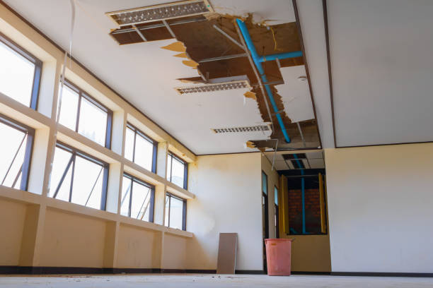 Best Basement water damage restoration  in Manorville, NY