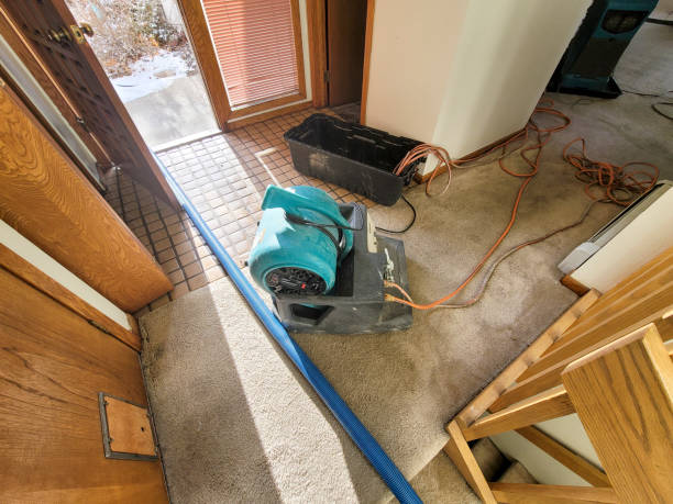 Best Flood restoration services  in Manorville, NY
