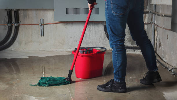 Best Water damage cleanup near me  in Manorville, NY