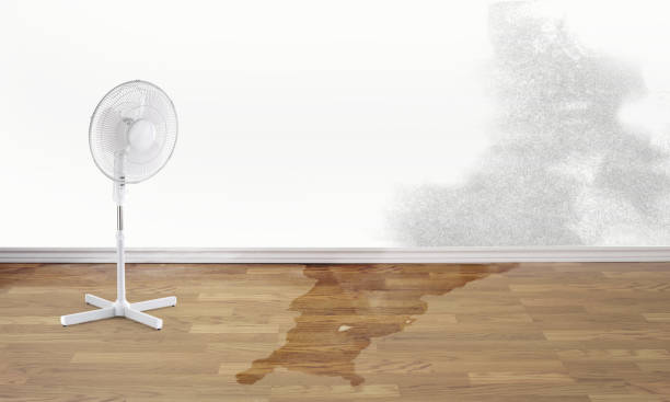 Best Water damage restoration near me  in Manorville, NY