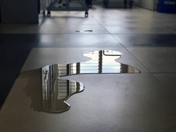 Best Water damage repair service  in Manorville, NY