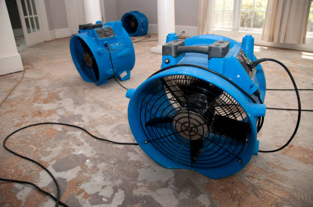 Carpet water damage restoration in Manorville, NY