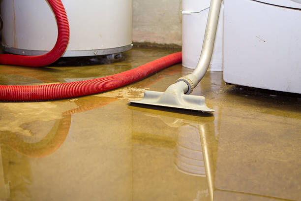 Best Water damage restoration cost  in Manorville, NY