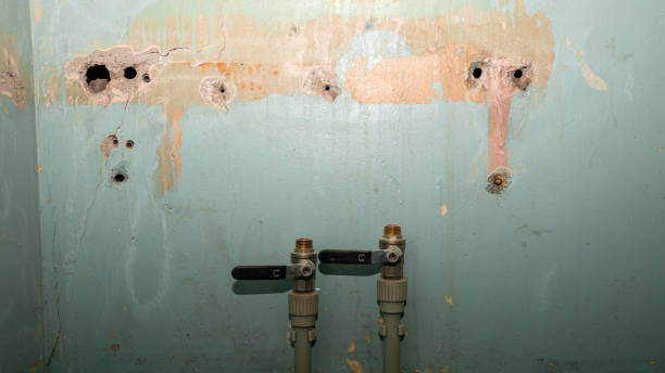 Best 24/7 water damage repair  in Manorville, NY