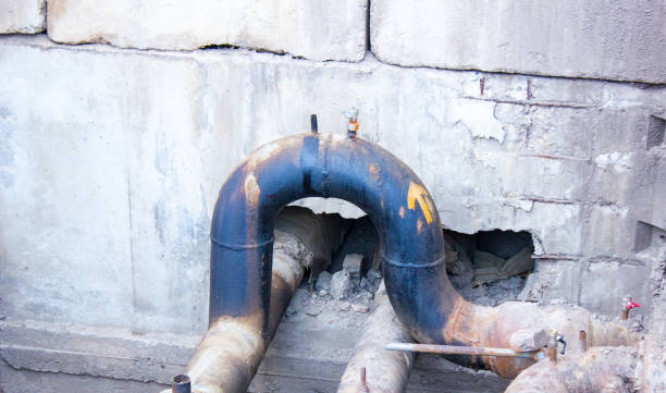 Best Mold removal after water damage  in Manorville, NY