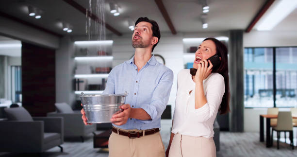 Best Commercial water damage restoration  in Manorville, NY